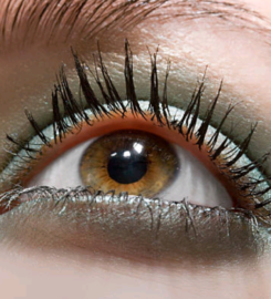 BlinkLab Beauty Bar (Demo)